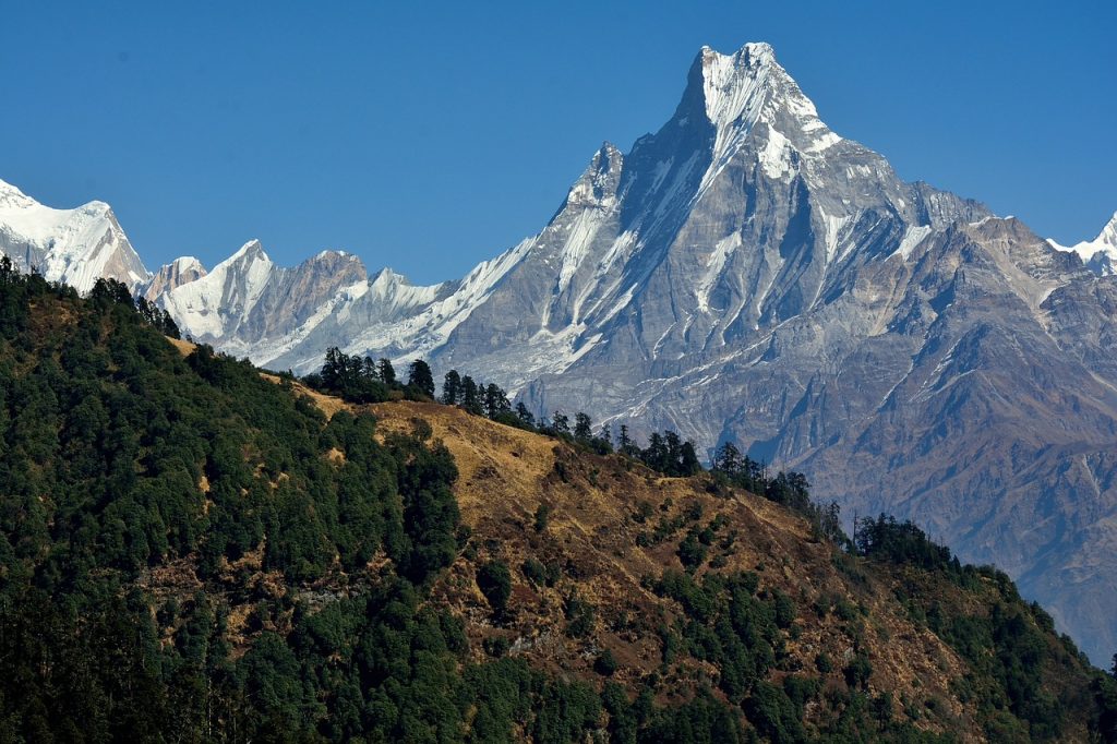 Old Manali Walks